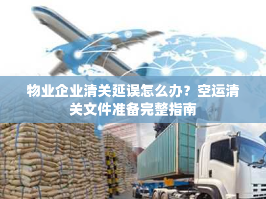 物业企业清关延误怎么办？空运清关文件准备完整指南