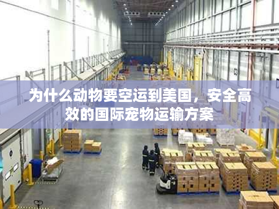 为什么动物要空运到美国，安全高效的国际宠物运输方案