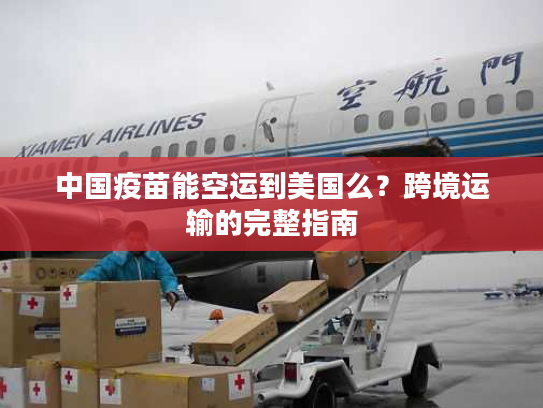 中国疫苗能空运到美国么？跨境运输的完整指南