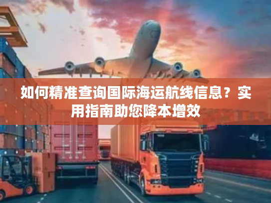 如何精准查询国际海运航线信息？实用指南助您降本增效