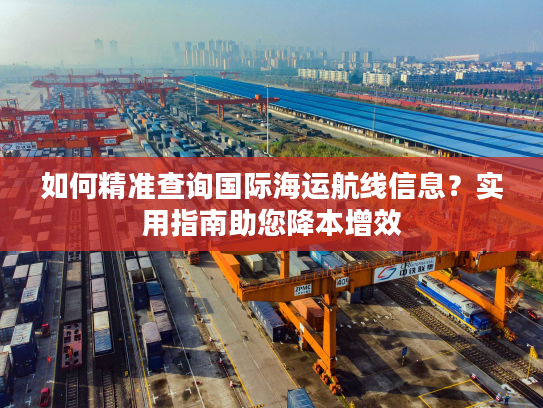 如何精准查询国际海运航线信息？实用指南助您降本增效