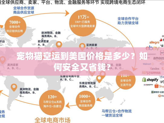 宠物猫空运到美国价格是多少？如何安全又省钱？