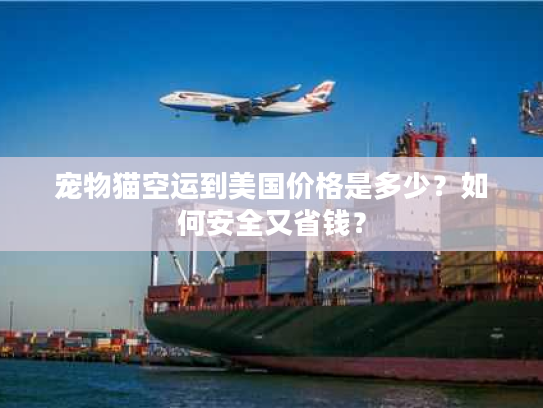 宠物猫空运到美国价格是多少？如何安全又省钱？
