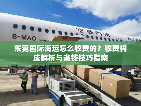 东莞国际海运怎么收费的？收费构成解析与省钱技巧指南