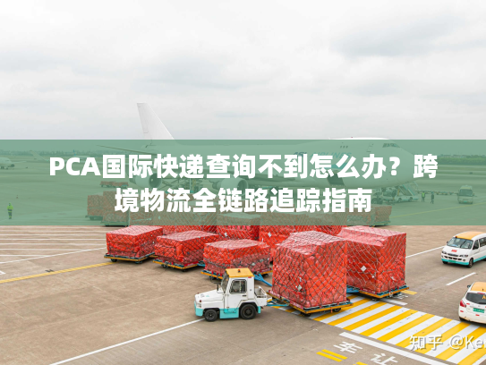 PCA国际快递查询不到怎么办？跨境物流全链路追踪指南