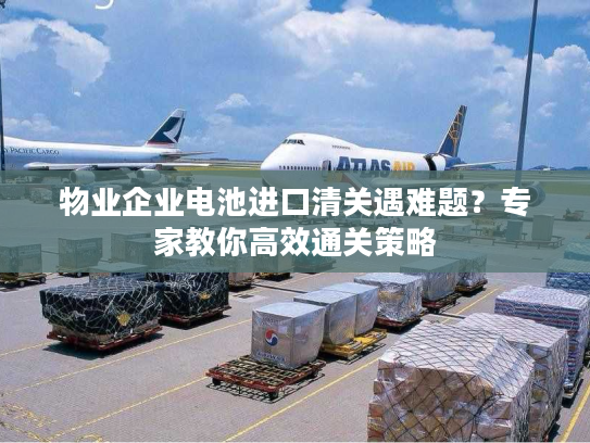 物业企业电池进口清关遇难题？专家教你高效通关策略