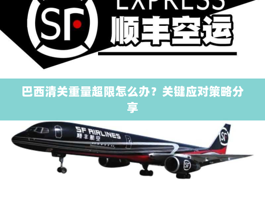 巴西清关重量超限怎么办？关键应对策略分享