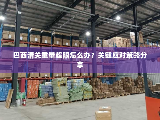巴西清关重量超限怎么办？关键应对策略分享