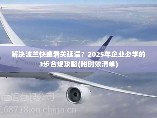 解决波兰快递清关延误？2025年企业必学的3步合规攻略(附时效清单)