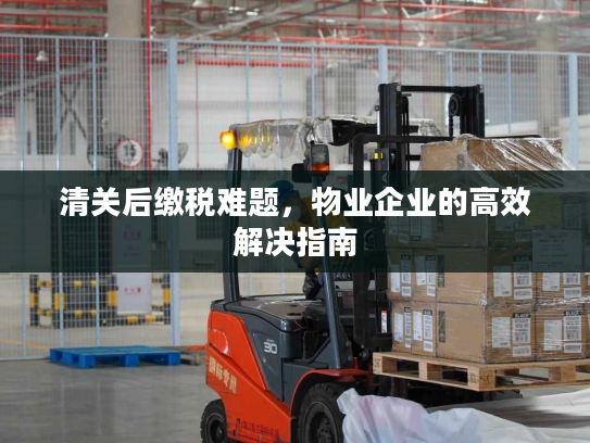 清关后缴税难题，物业企业的高效解决指南