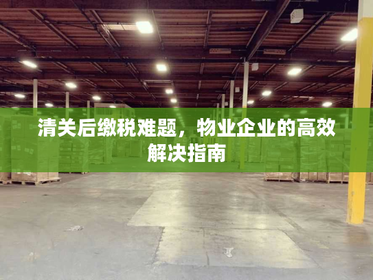 清关后缴税难题，物业企业的高效解决指南