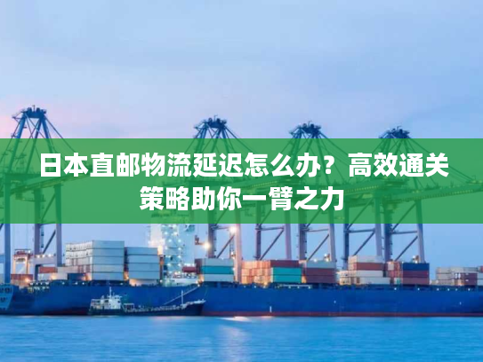 日本直邮物流延迟怎么办?高效通关策略助你一臂之力 日本直邮物流延迟怎么办?高效通关策略助你一臂之力