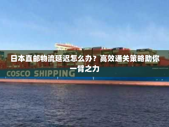 日本直邮物流延迟怎么办？高效通关策略助你一臂之力