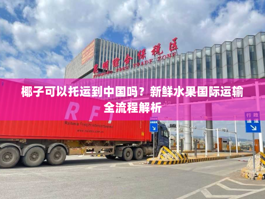 椰子可以托运到中国吗？新鲜水果国际运输全流程解析