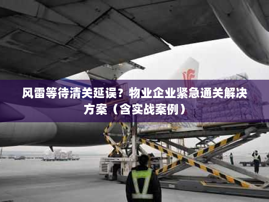 风雷等待清关延误？物业企业紧急通关解决方案（含实战案例）