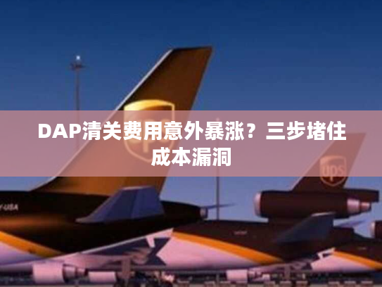 DAP清关费用意外暴涨？三步堵住成本漏洞