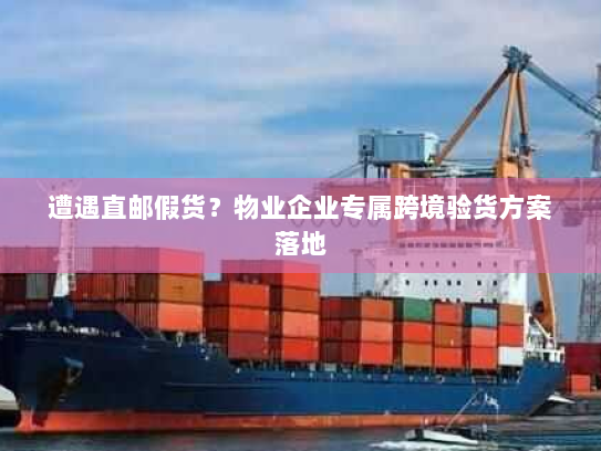 遭遇直邮假货？物业企业专属跨境验货方案落地