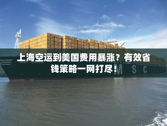 上海空运到美国费用暴涨?有效省钱策略一网打尽! 上海空运到美国费用暴涨?有效省钱策略一网打尽!