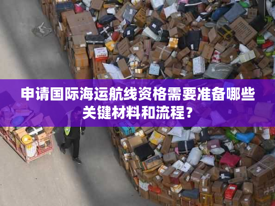 申请国际海运航线资格需要准备哪些关键材料和流程？