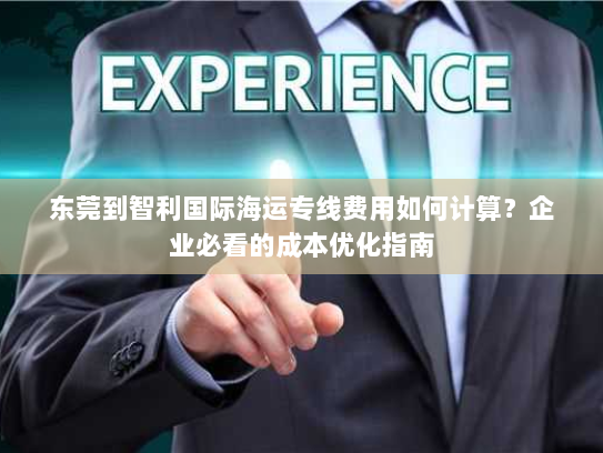 东莞到智利国际海运专线费用如何计算?企业必看的成本优化指南 东莞到智利国际海运专线费用如何计算?企业必看的成本优化指南