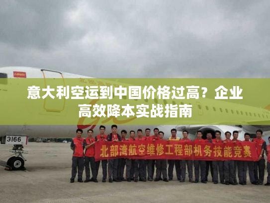 意大利空运到中国价格过高?企业高效降本实战指南 意大利空运到中国价格过高?企业高效降本实战指南