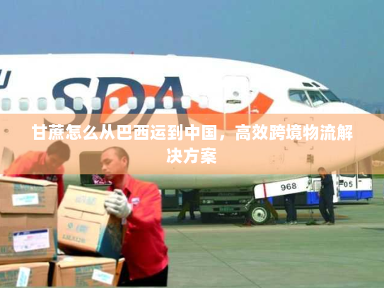 甘蔗怎么从巴西运到中国,高效跨境物流解决方案 甘蔗怎么从巴西运到中国,高效跨境物流解决方案