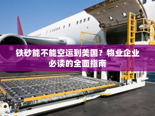 铁砂能不能空运到美国？物业企业必读的全面指南