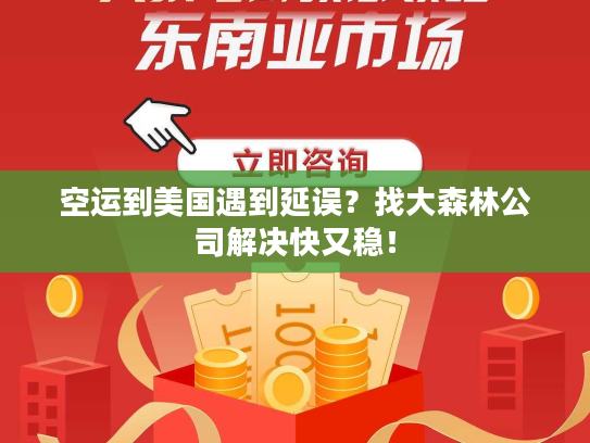 空运到美国遇到延误？找大森林公司解决快又稳！
