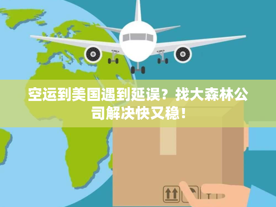 空运到美国遇到延误？找大森林公司解决快又稳！
