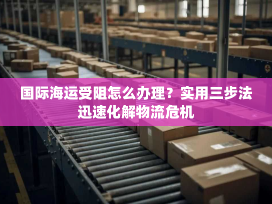 国际海运受阻怎么办理？实用三步法迅速化解物流危机