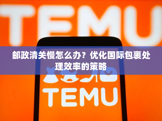 邮政清关慢怎么办？优化国际包裹处理效率的策略