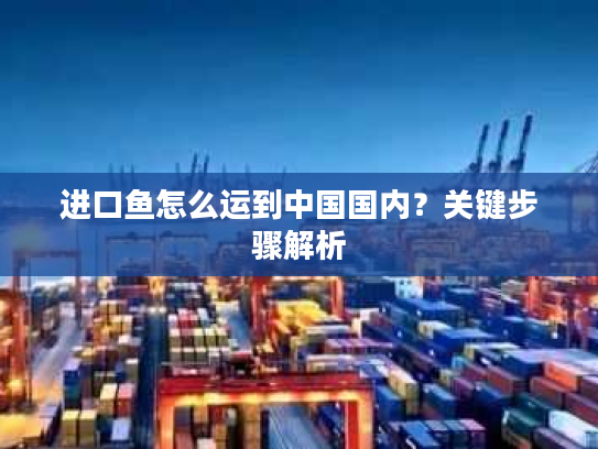 进口鱼怎么运到中国国内？关键步骤解析