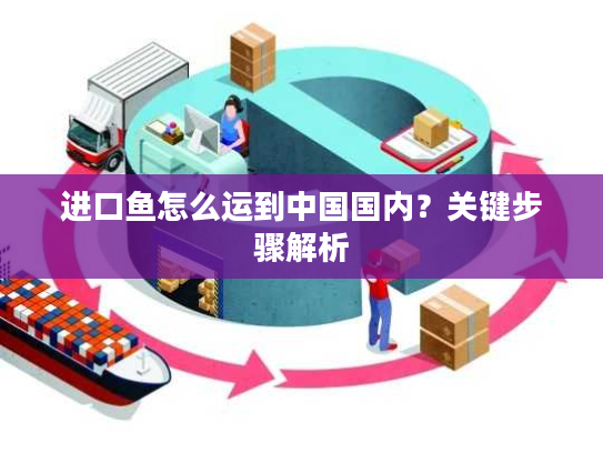 进口鱼怎么运到中国国内？关键步骤解析