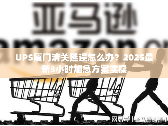 UPS厦门清关延误怎么办？2025最新3小时加急方案实操
