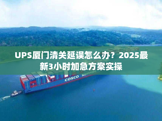 UPS厦门清关延误怎么办？2025最新3小时加急方案实操