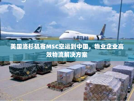 美国洛杉矶寄MSC空运到中国，物业企业高效物流解决方案