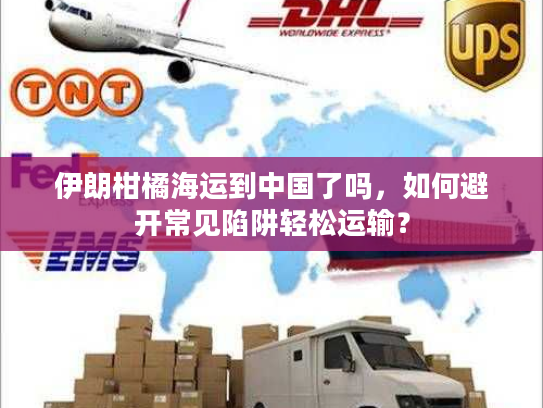 伊朗柑橘海运到中国了吗，如何避开常见陷阱轻松运输？