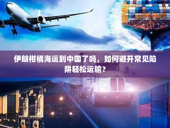伊朗柑橘海运到中国了吗，如何避开常见陷阱轻松运输？
