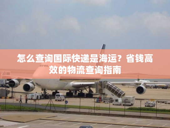 怎么查询国际快递是海运?省钱高效的物流查询指南 怎么查询国际快递是海运?省钱高效的物流查询指南