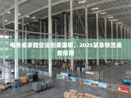 电池谁家能空运到美国呢，2025紧急物流速查指南