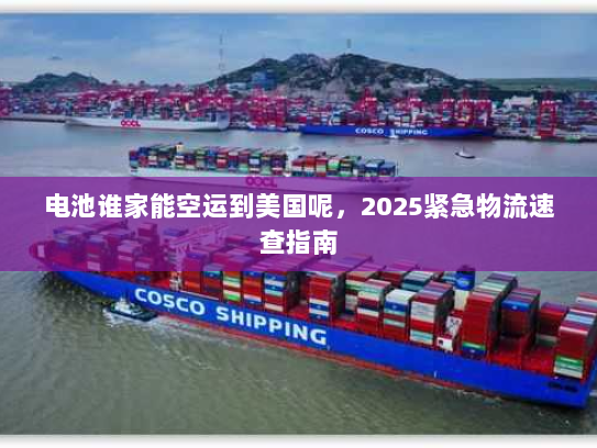 电池谁家能空运到美国呢，2025紧急物流速查指南