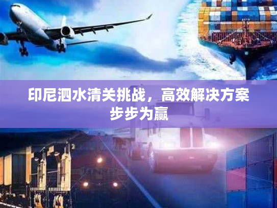 印尼泗水清关挑战，高效解决方案步步为赢