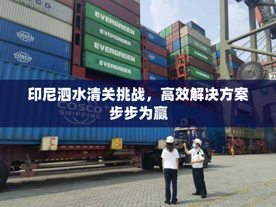 印尼泗水清关挑战，高效解决方案步步为赢