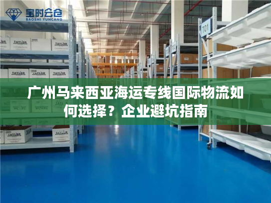 广州马来西亚海运专线国际物流如何选择?企业避坑指南 广州马来西亚海运专线国际物流如何选择?企业避坑指南