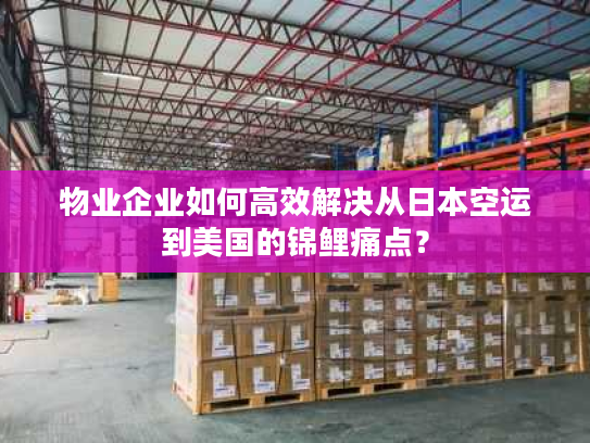 物业企业如何高效解决从日本空运到美国的锦鲤痛点？