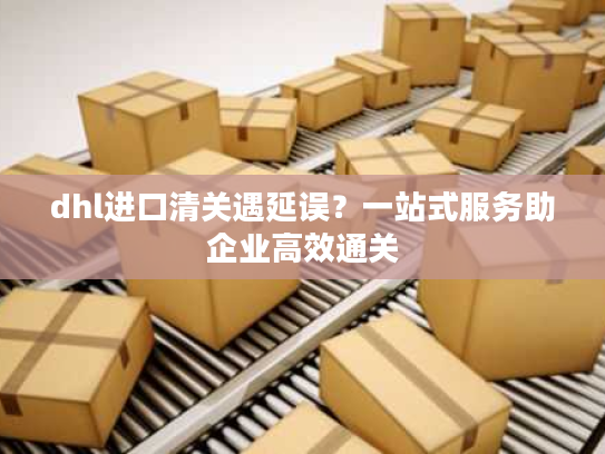 dhl进口清关遇延误?一站式服务助企业高效通关 dhl进口清关遇延误?一站式服务助企业高效通关