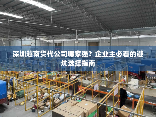 深圳越南货代公司哪家强？企业主必看的避坑选择指南