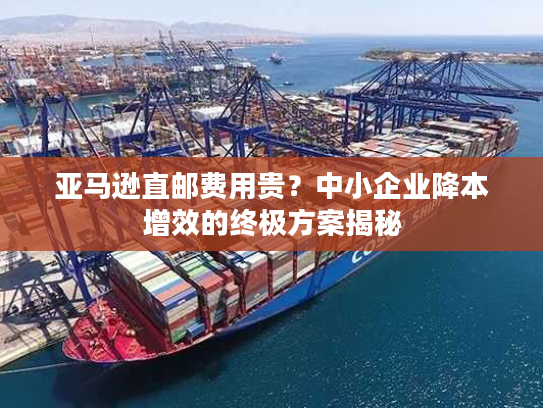 亚马逊直邮费用贵？中小企业降本增效的终极方案揭秘