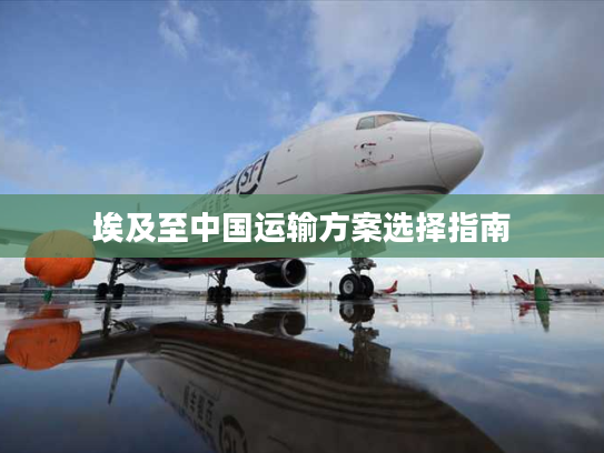 埃及至中国运输方案选择指南