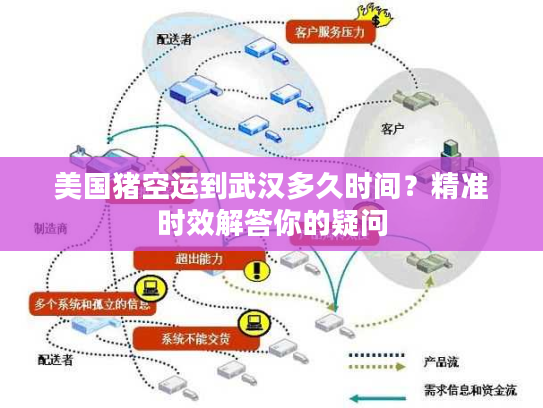 美国猪空运到武汉多久时间？精准时效解答你的疑问